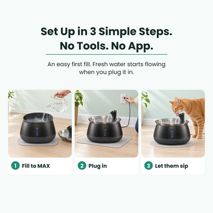 Fill HydrateWell to MAX, plug the assembled fountain into an outlet while it rests on the floor, then let the cat drink.