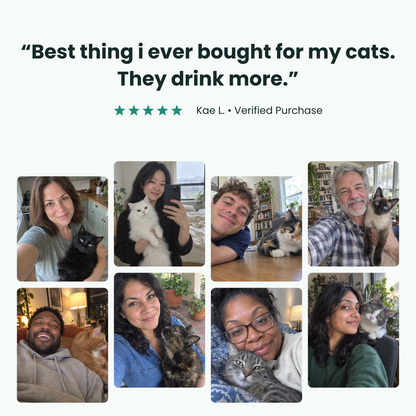 “Best thing i ever bought for my cats. They drink more.” — Kae L., a merchant-provided display name for the supplied five-star Amazon review from Kae, marked Verified Purchase, above eight illustrative owner-and-cat selfies.