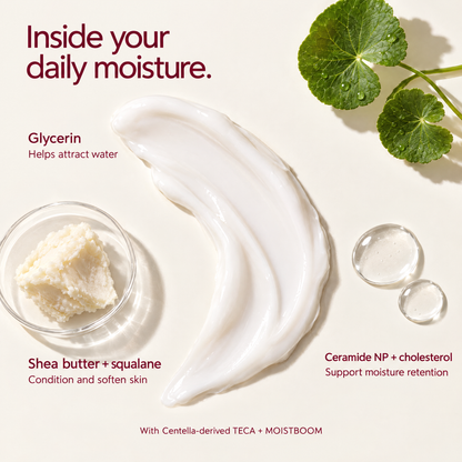 White lotion texture with Centella leaves, shea butter, and moisturizing ingredient information.