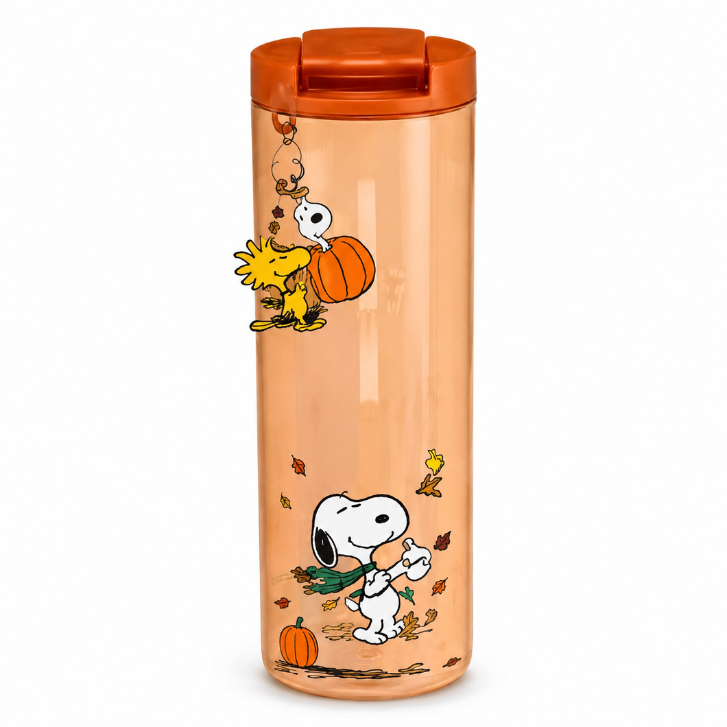 Snoopy Glass Cup